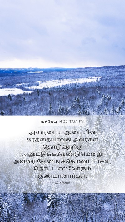மத்தேயு 14:36 TAMIRV Bible Verse Image