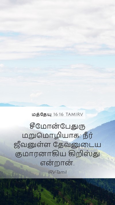 மத்தேயு 16:16 TAMIRV Bible Verse Image