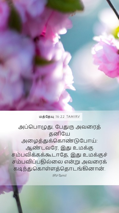 மத்தேயு 16:22 TAMIRV Bible Verse Image