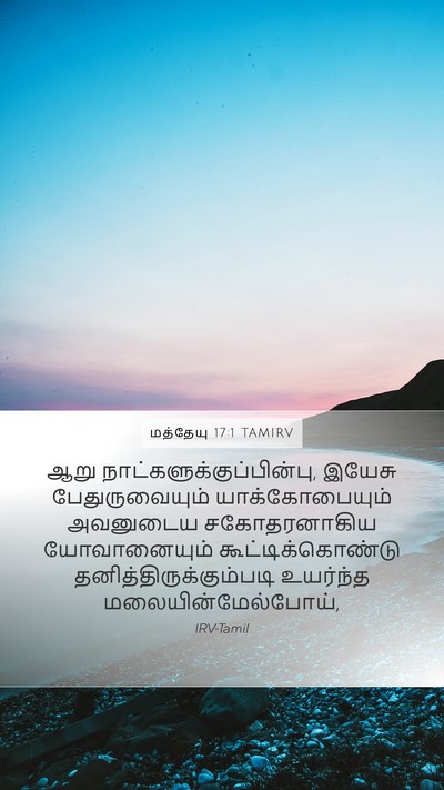 மத்தேயு 17:1 TAMIRV Mobile Phone Wallpaper - ஆறு - Mobile Bible Verse Wallpaper