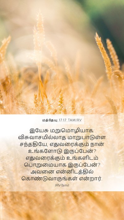மத்தேயு 17:17 TAMIRV Bible Verse Image