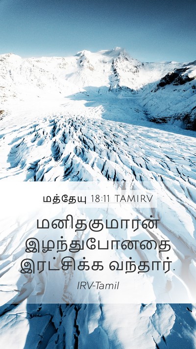 மத்தேயு 18:11 TAMIRV Mobile Phone Wallpaper - மனிதகுமாரன் - Mobile Bible Verse Wallpaper