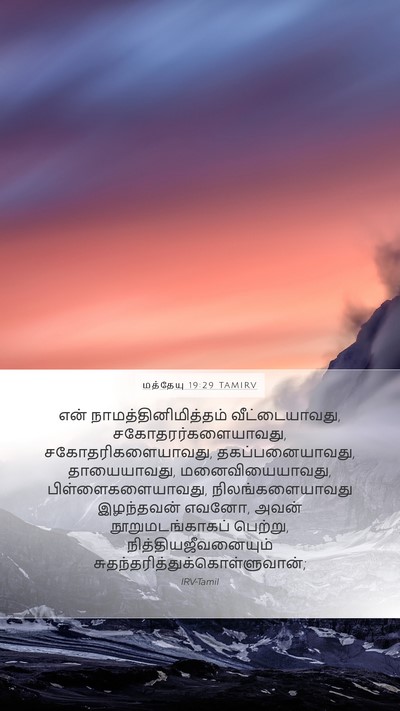 மத்தேயு 19:29 TAMIRV Bible Verse Image