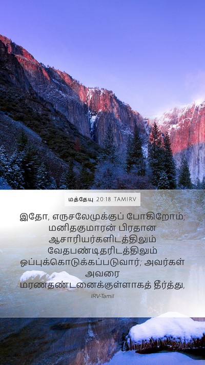மத்தேயு 20:18 TAMIRV Bible Verse Image