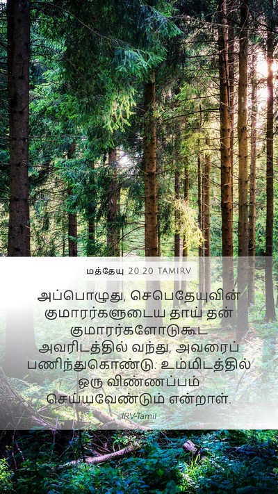 மத்தேயு 20:20 TAMIRV Bible Verse Image