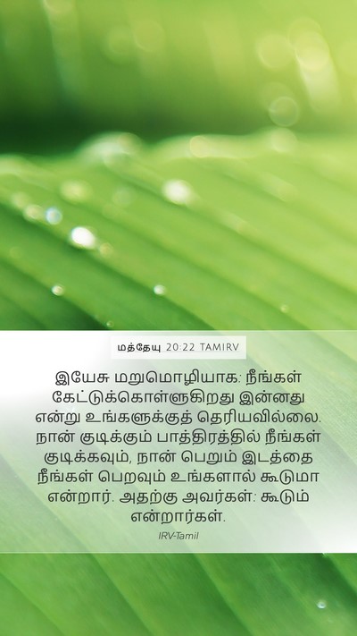 மத்தேயு 20:22 TAMIRV Bible Verse Image