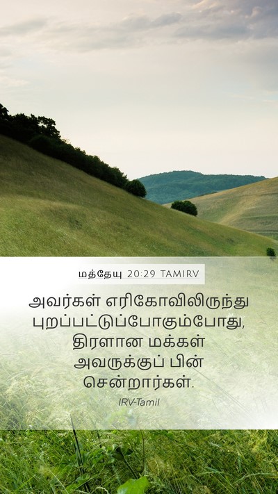 மத்தேயு 20:29 TAMIRV Bible Verse Image