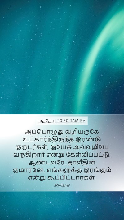 மத்தேயு 20:30 TAMIRV Mobile Phone Wallpaper - அப்பொழுது - Mobile Bible Verse Wallpaper