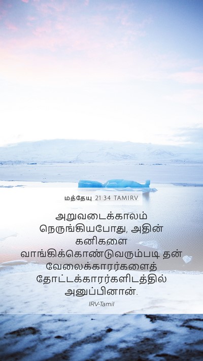 மத்தேயு 21:34 TAMIRV Bible Verse Image