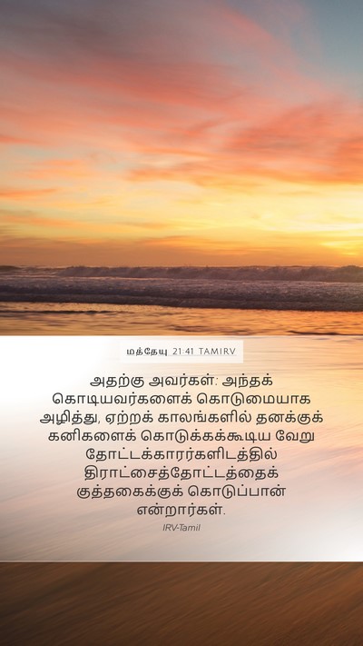 மத்தேயு 21:41 TAMIRV Mobile Phone Wallpaper - அதற்கு அவர்கள்: - Mobile Bible Verse Wallpaper