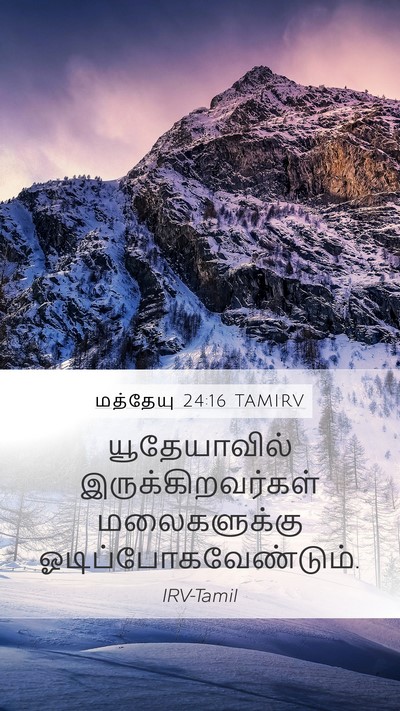 மத்தேயு 24:16 TAMIRV Bible Verse Image