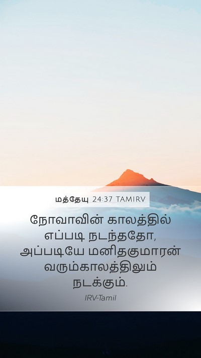 மத்தேயு 24:37 TAMIRV Bible Verse Image
