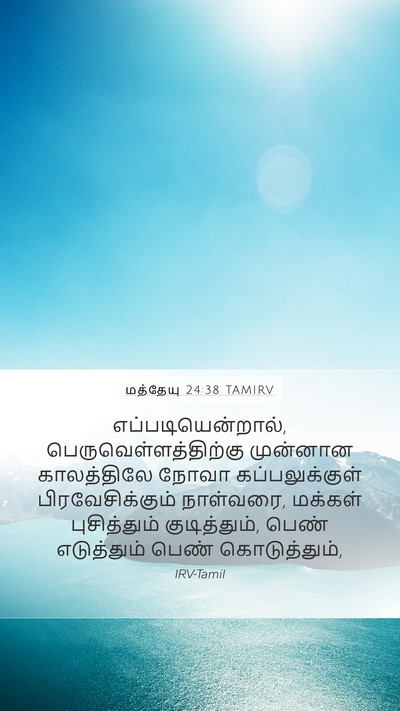 மத்தேயு 24:38 TAMIRV Bible Verse Image