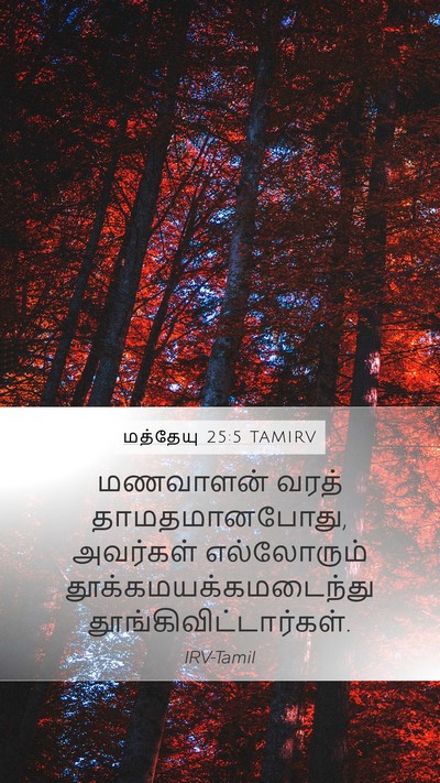 மத்தேயு 25:5 TAMIRV Bible Verse Image