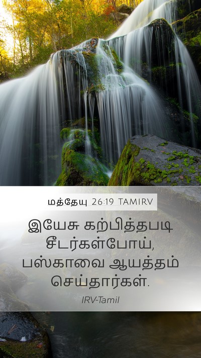 மத்தேயு 26:19 TAMIRV Bible Verse Image