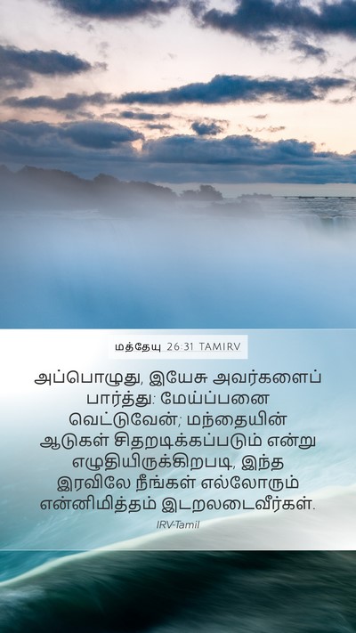 மத்தேயு 26:31 TAMIRV Bible Verse Image
