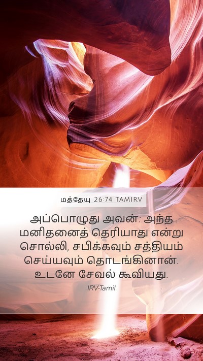 மத்தேயு 26:74 TAMIRV Bible Verse Image