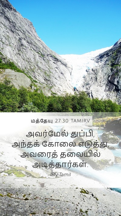மத்தேயு 27:30 TAMIRV Bible Verse Image