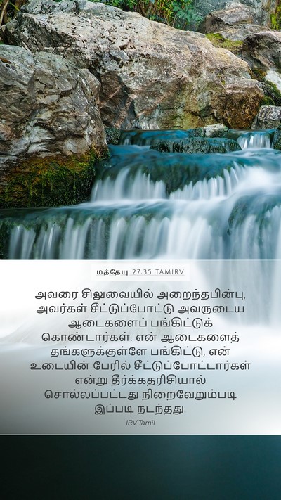 மத்தேயு 27:35 TAMIRV Bible Verse Image