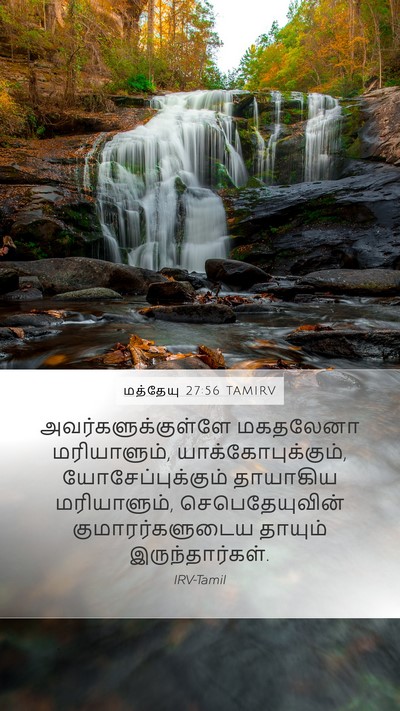 மத்தேயு 27:56 TAMIRV Bible Verse Image