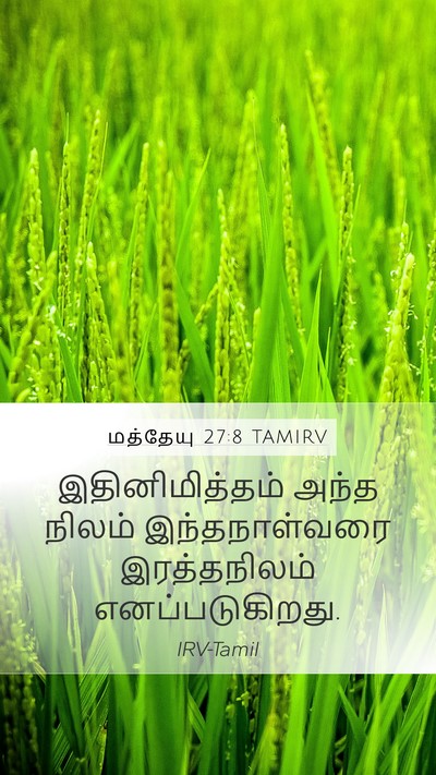 மத்தேயு 27:8 TAMIRV Bible Verse Image