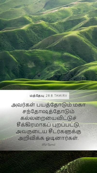 மத்தேயு 28:8 TAMIRV Bible Verse Image