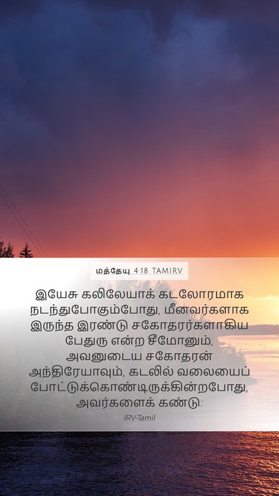 மத்தேயு 4:18 TAMIRV Bible Verse Image