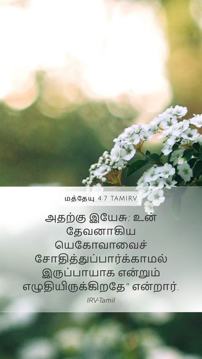 மத்தேயு 4:7 TAMIRV Bible Verse Image