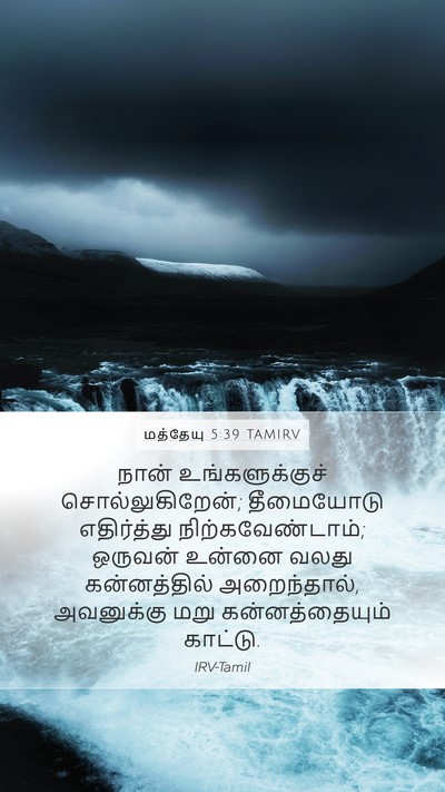 மத்தேயு 5:39 TAMIRV Bible Verse Image