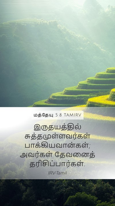மத்தேயு 5:8 TAMIRV Bible Verse Image