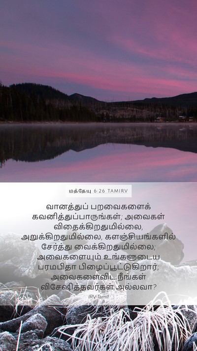 மத்தேயு 6:26 TAMIRV Bible Verse Image