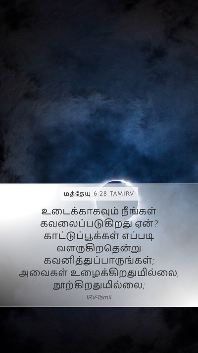 மத்தேயு 6:28 TAMIRV Bible Verse Image