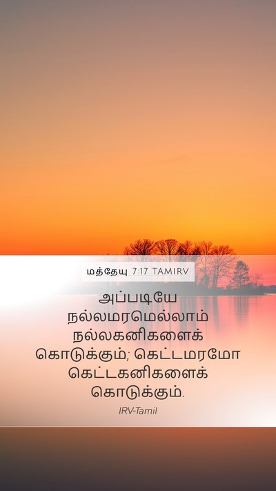 மத்தேயு 7:17 TAMIRV Bible Verse Image