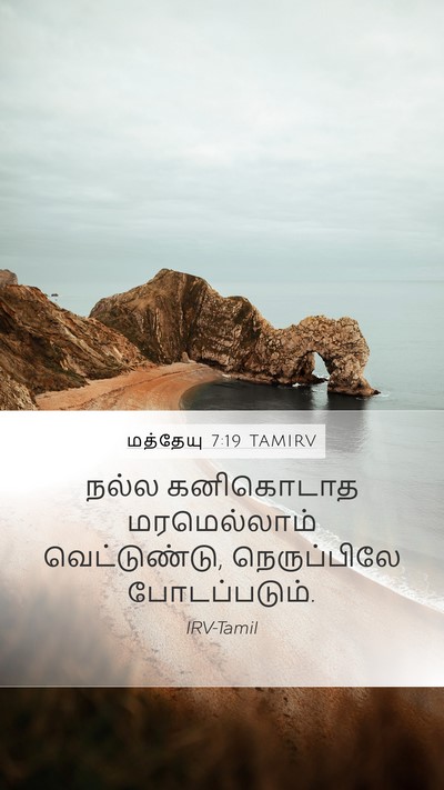 மத்தேயு 7:19 TAMIRV Bible Verse Image