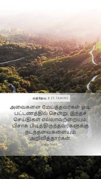 மத்தேயு 8:33 TAMIRV Mobile Phone Wallpaper - அவைகளை - Mobile Bible Verse Wallpaper