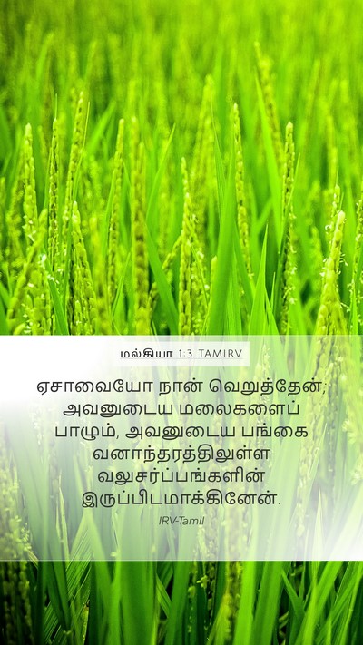 மல்கியா 1:3 TAMIRV Bible Verse Image