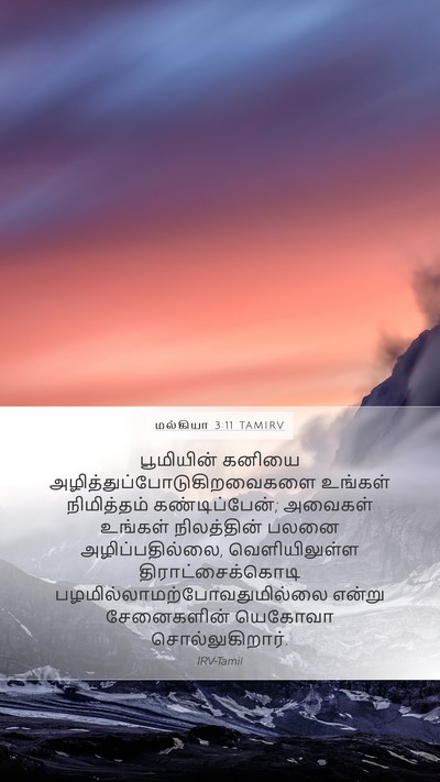 மல்கியா 3:11 TAMIRV Mobile Phone Wallpaper - பூமியின் கனியை - Mobile Bible Verse Wallpaper