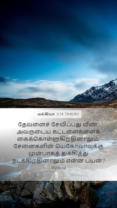மல்கியா 3:14 TAMIRV Bible Verse Image