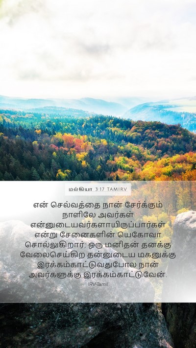 மல்கியா 3:17 TAMIRV Bible Verse Image