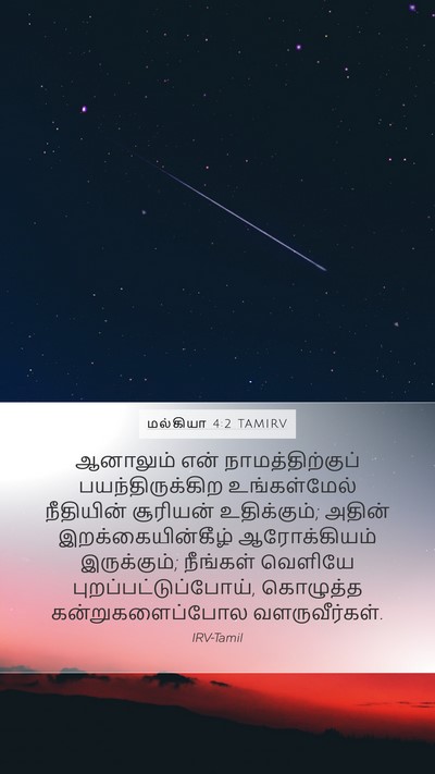 மல்கியா 4:2 TAMIRV Bible Verse Image