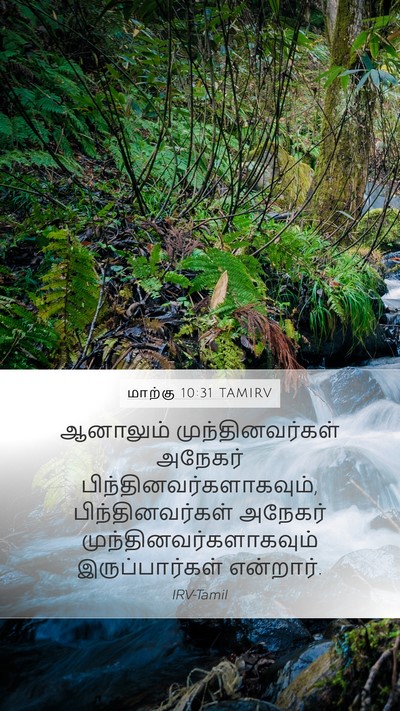 மாற்கு 10:31 TAMIRV Mobile Phone Wallpaper - ஆனாலும் - Mobile Bible Verse Wallpaper