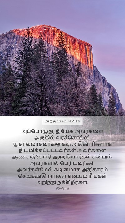 மாற்கு 10:42 TAMIRV Mobile Phone Wallpaper - அப்பொழுது, இயேசு - Mobile Bible Verse Wallpaper