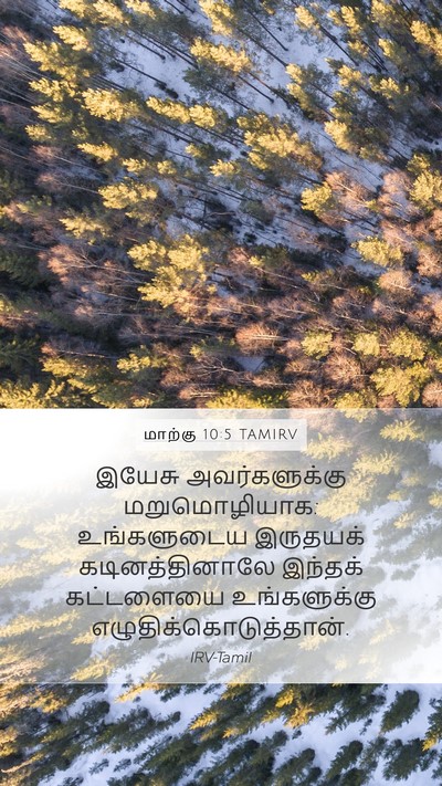 மாற்கு 10:5 TAMIRV Mobile Phone Wallpaper - இயேசு அவர்களுக்கு - Mobile Bible Verse Wallpaper