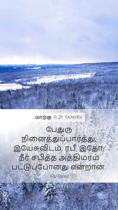 மாற்கு 11:21 TAMIRV Bible Verse Image
