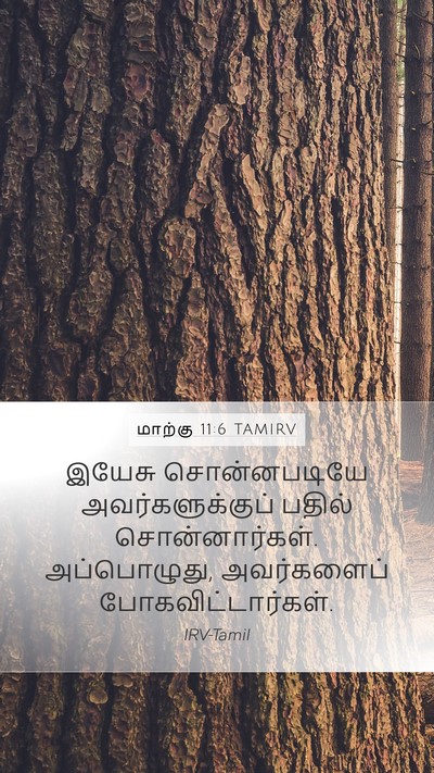மாற்கு 11:6 TAMIRV Mobile Phone Wallpaper - இயேசு சொன்னபடியே - Mobile Bible Verse Wallpaper