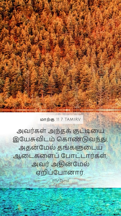 மாற்கு 11:7 TAMIRV Mobile Phone Wallpaper - அவர்கள் அந்தக் - Mobile Bible Verse Wallpaper