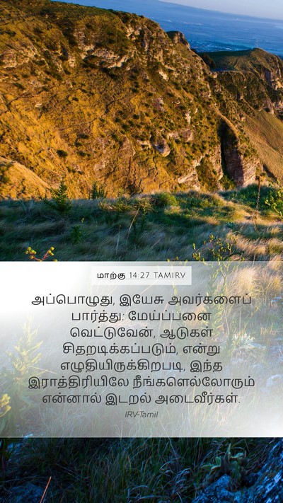 மாற்கு 14:27 TAMIRV Bible Verse Image