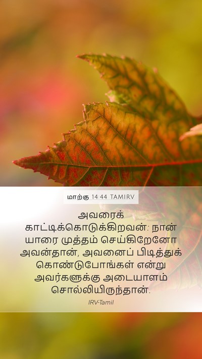மாற்கு 14:44 TAMIRV Bible Verse Image