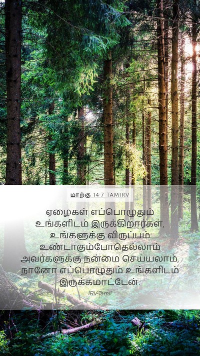 மாற்கு 14:7 TAMIRV Bible Verse Image