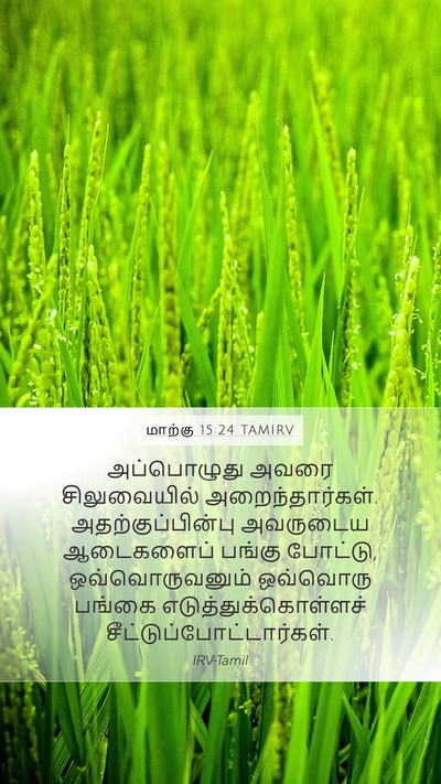 மாற்கு 15:24 TAMIRV Bible Verse Image